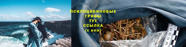 прущий лед Белоозёрский
