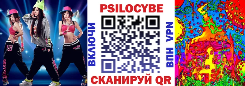 купить наркоту  мега ссылки  Псилоцибиновые грибы Psilocybine cubensis  Свободный 